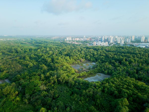 Les Pour et Contre du Travail en Intérim : Ce Que Vous Devez Savoir